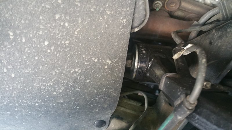 20160812_125532.jpg