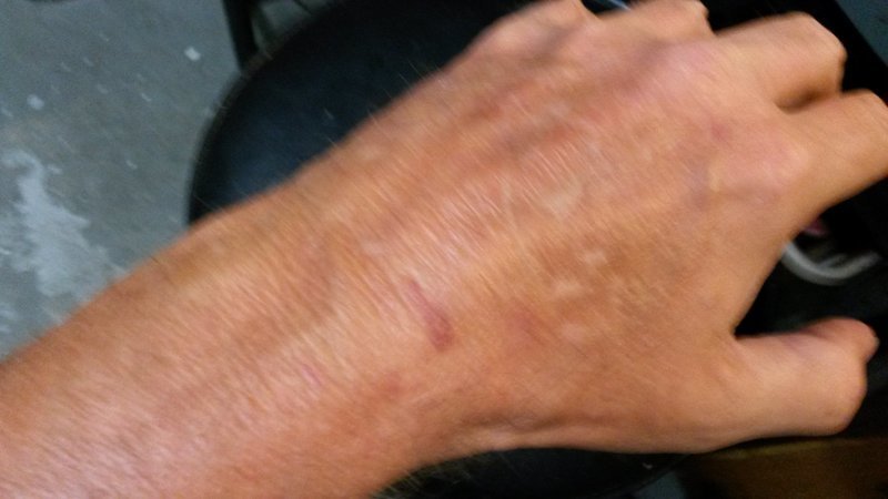 20160812_173442.jpg