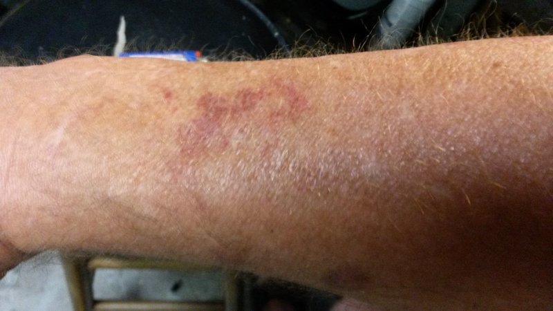 20160812_173450.jpg
