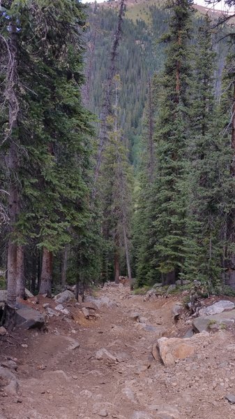 20160813_124124.jpg