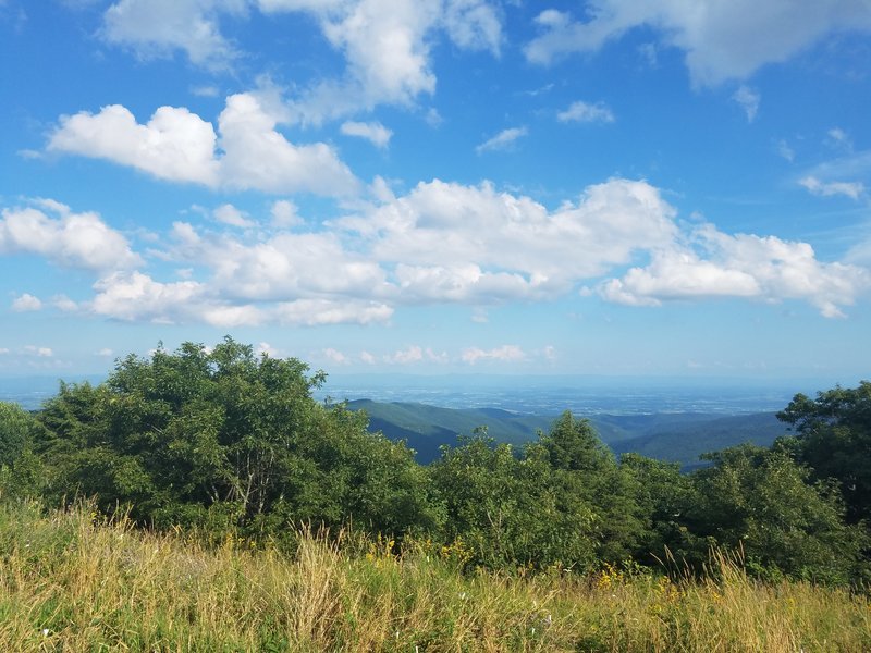 20160813_171541.jpg