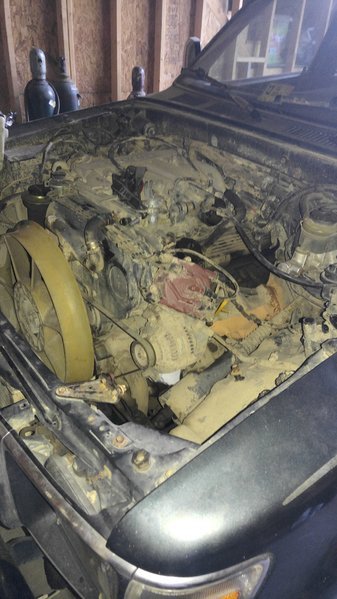 20160814_183719.jpg