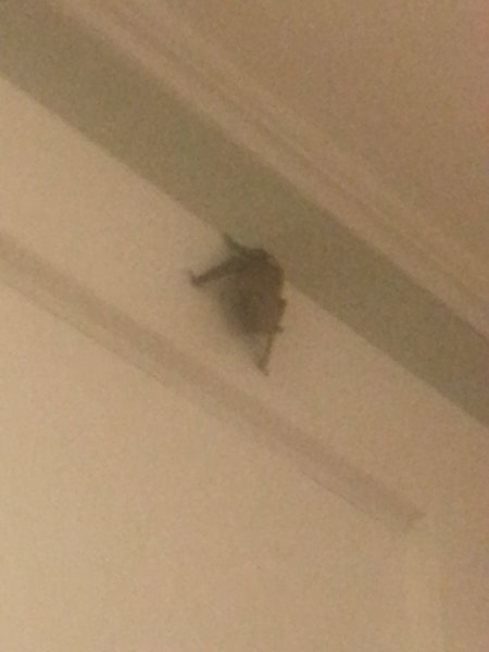 20160815_203112.jpg
