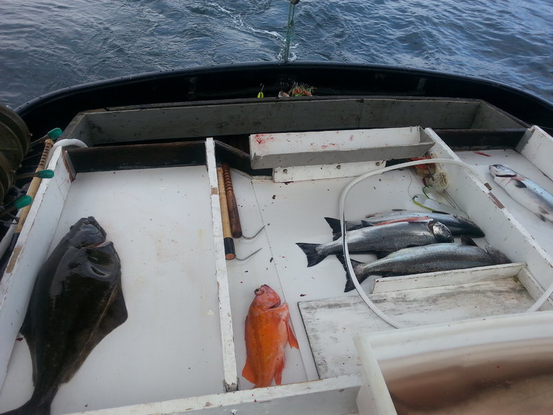 20160816_153821.jpg