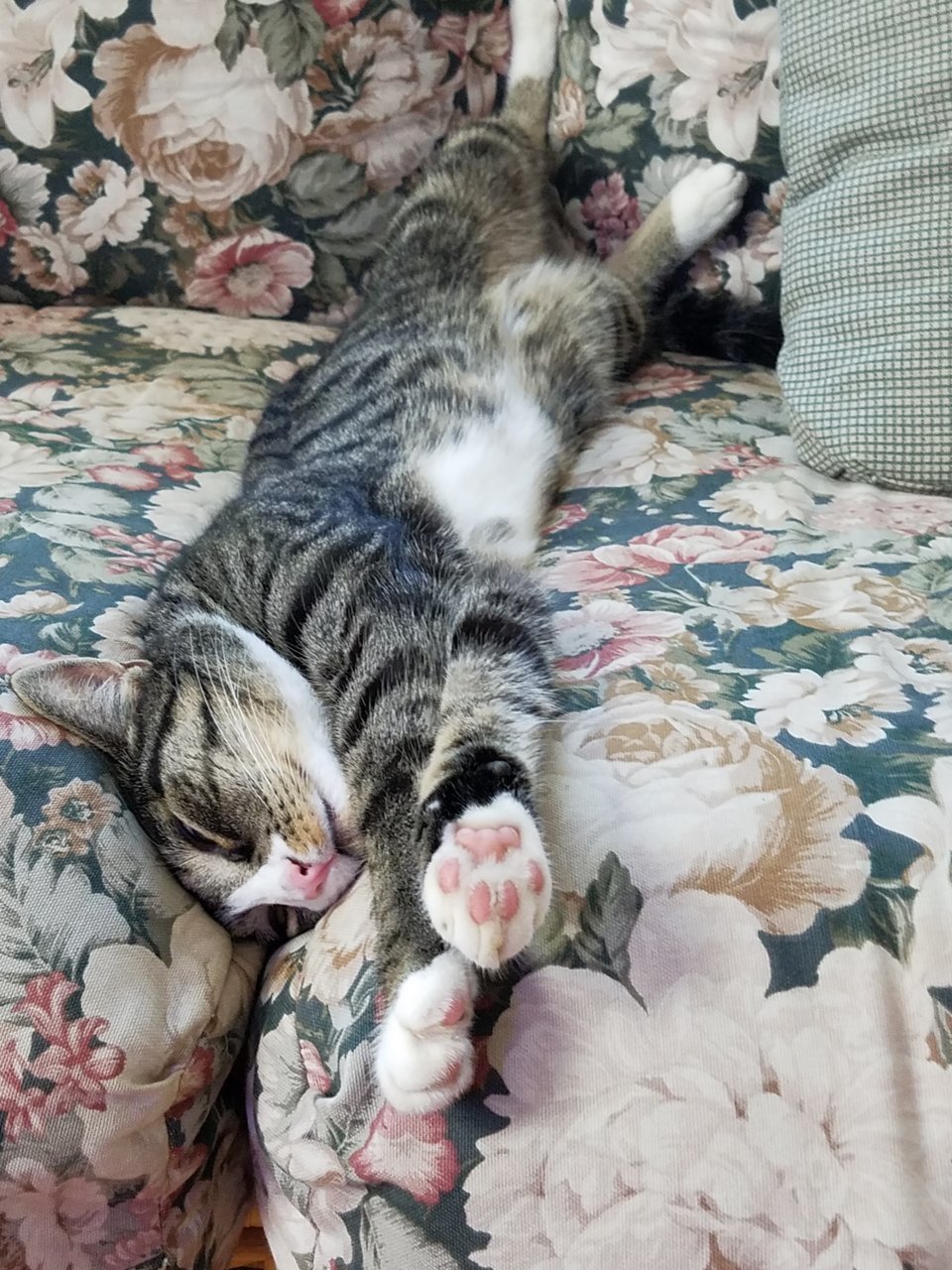 20160818_145254.jpg