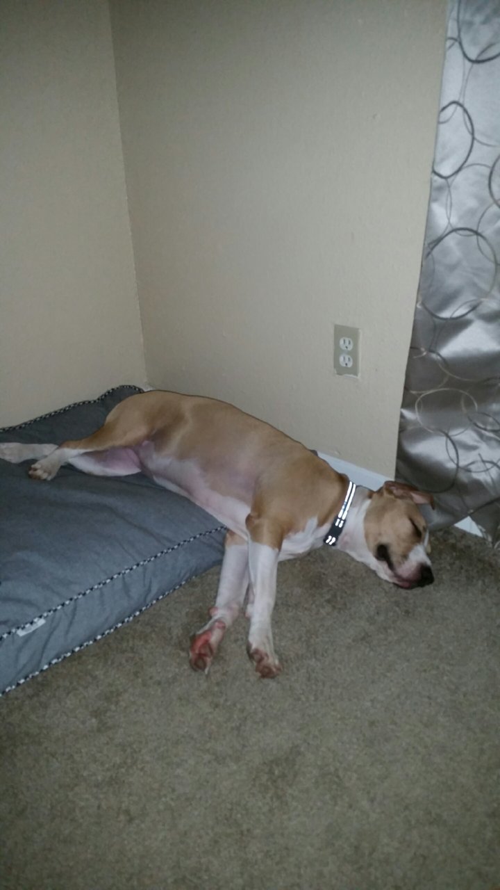 20160818_205453.jpg