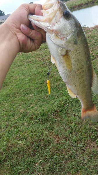 20160820_135223.jpg
