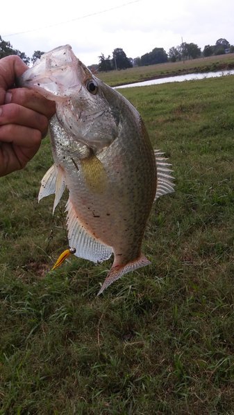 20160820_140249.jpg