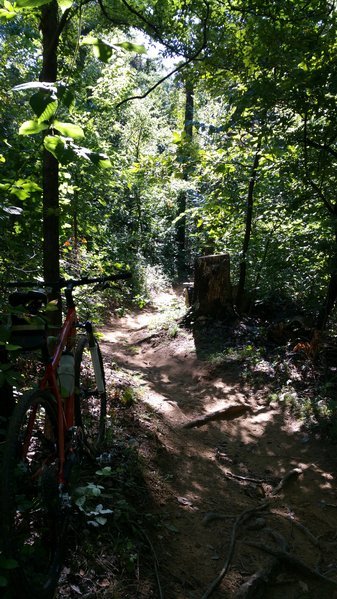 20160821_094429.jpg