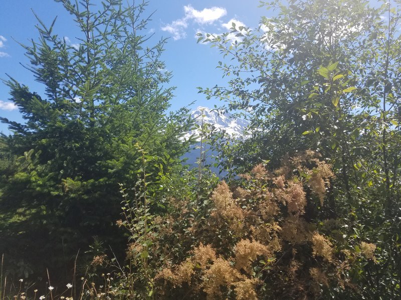 20160821_123515.jpg