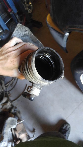 20160824_174853.jpg