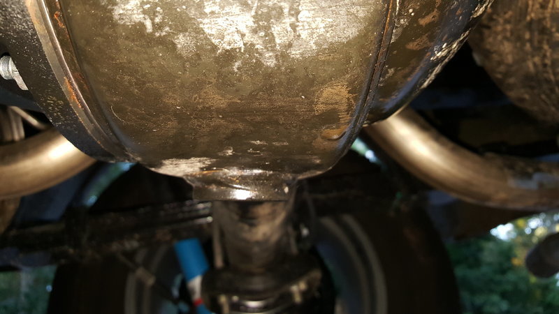 20160826_185229.jpg