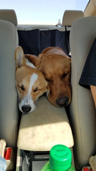 20160828_152749.jpg