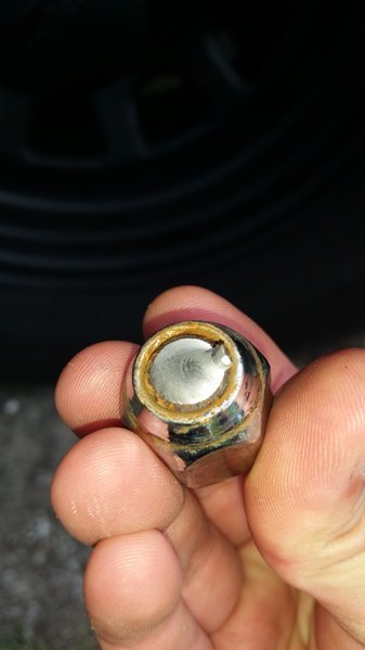 20160829_160728.jpg