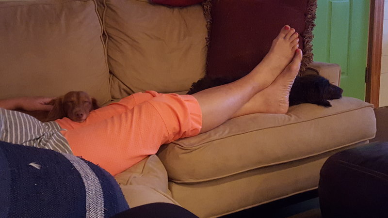 20160902_230525.jpg