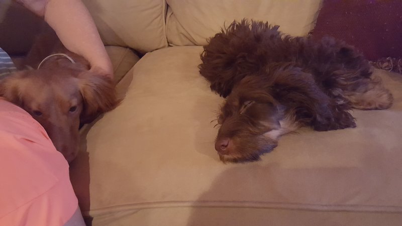20160902_230953.jpg