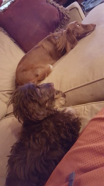 20160902_231336.jpg