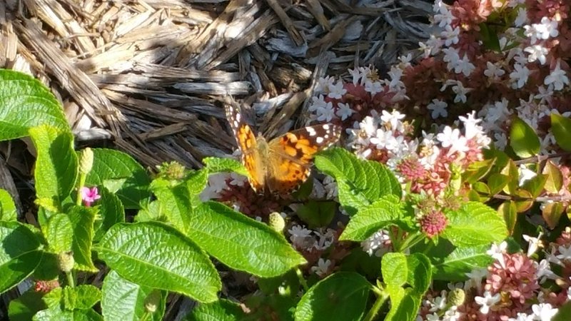 20160903_104039.jpg