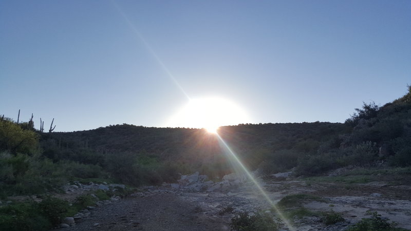 20160904_065257.jpg