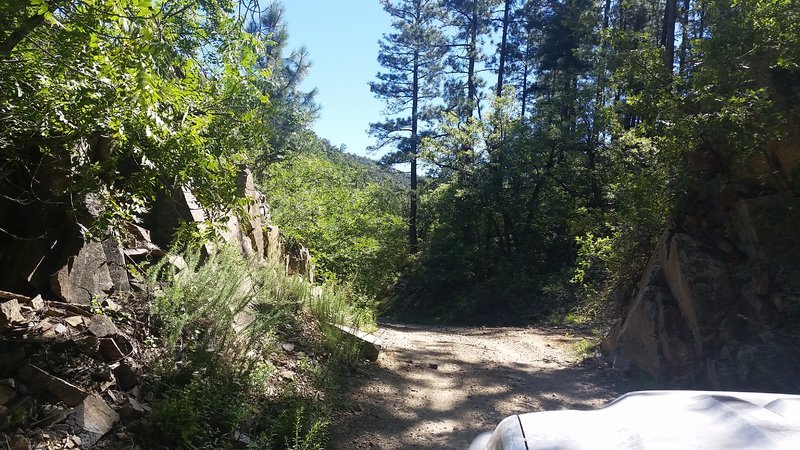 20160904_102551.jpg