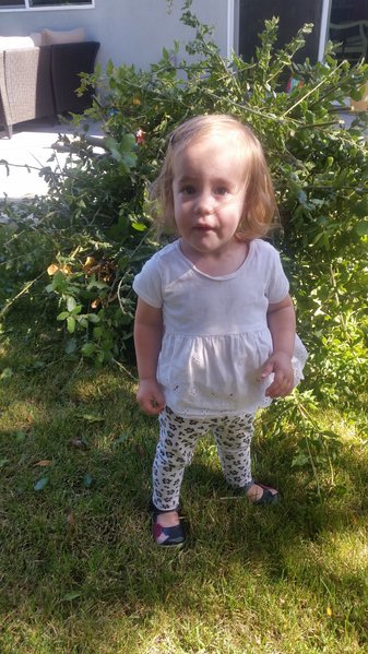 20160904_155612.jpg