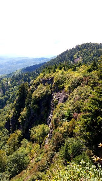 20160905_145116.jpg