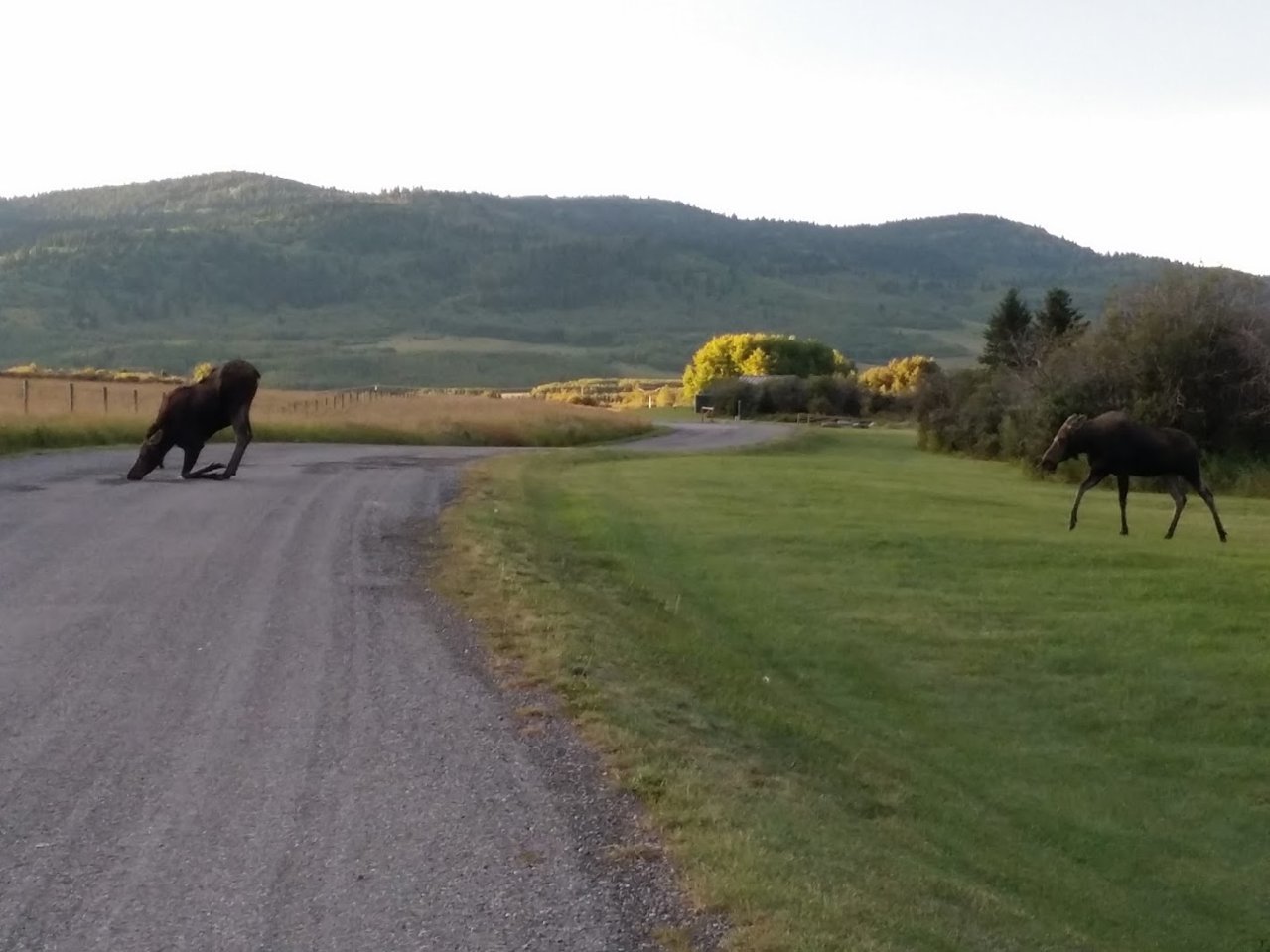 20160906_072334.jpg