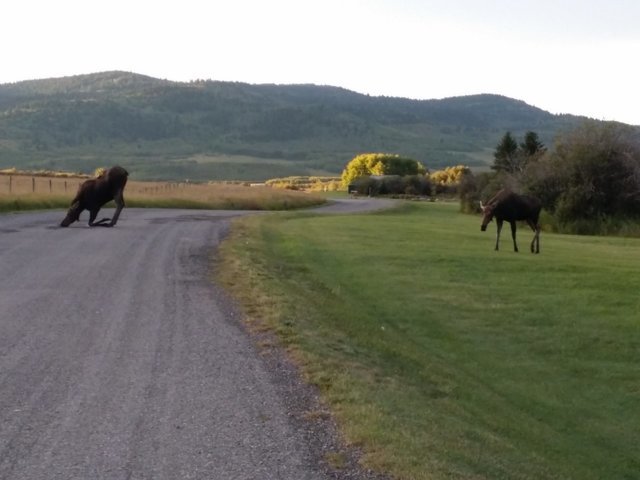 20160906_072336.jpg