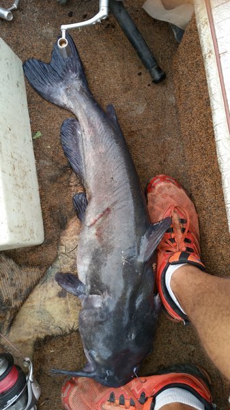 20160912_184239.jpg