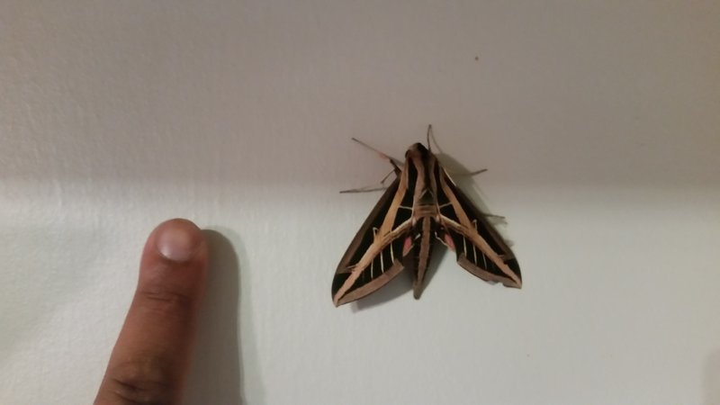 20160914_200613.jpg