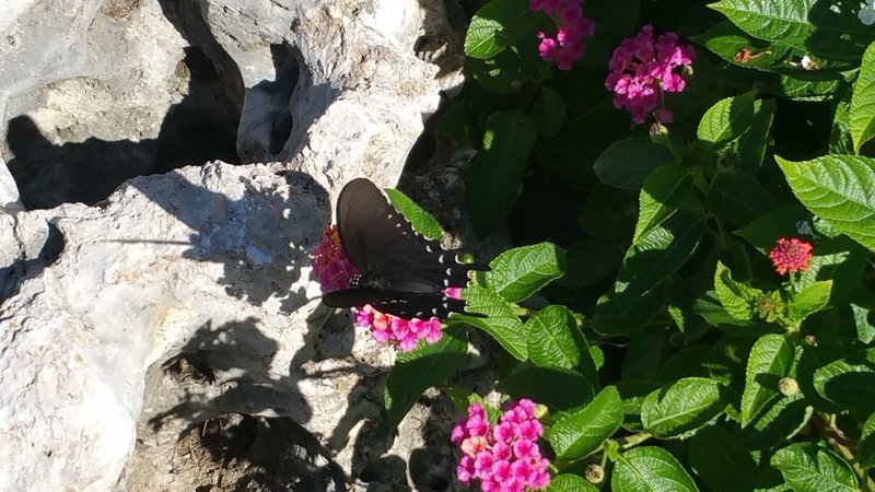 20160918_105314.jpg