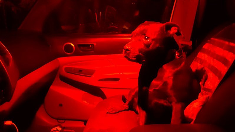 20160920_023130.jpg