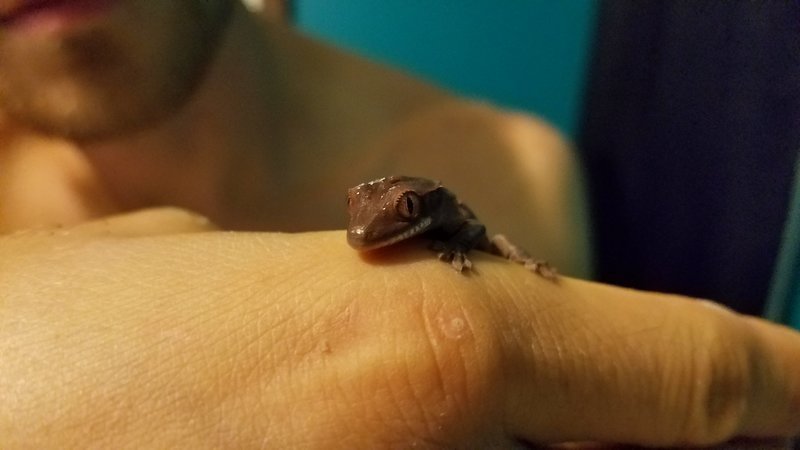 20160921_220518.jpg