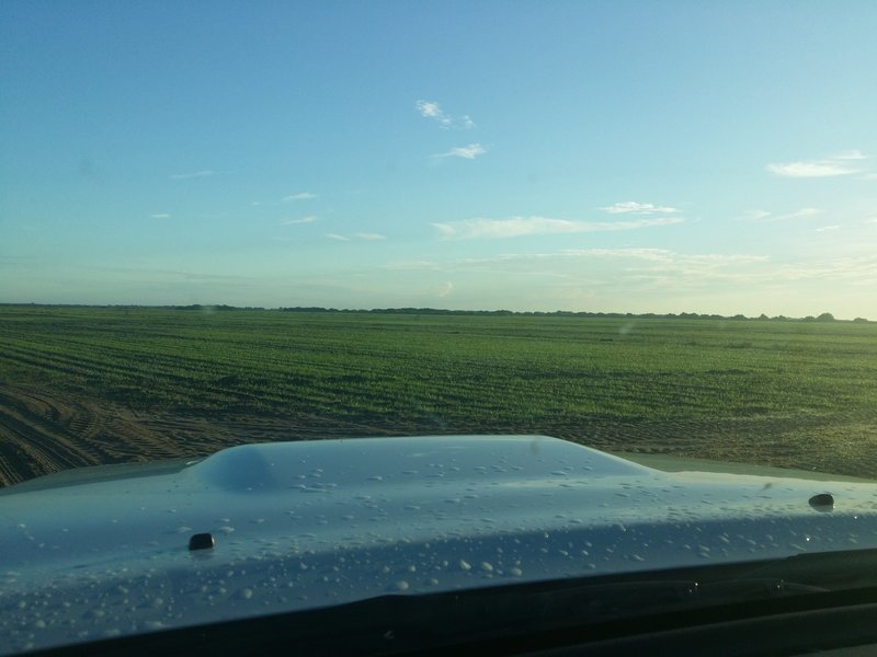 20160923_074646.jpg
