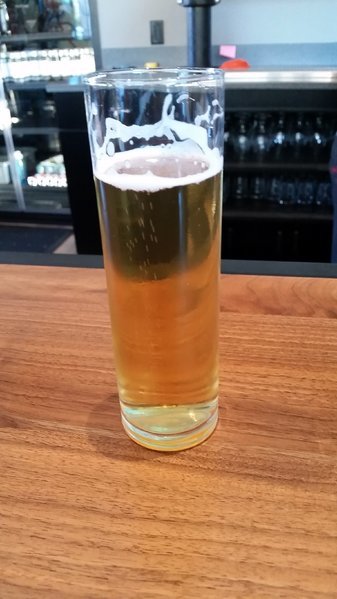 20160924_165454.jpg