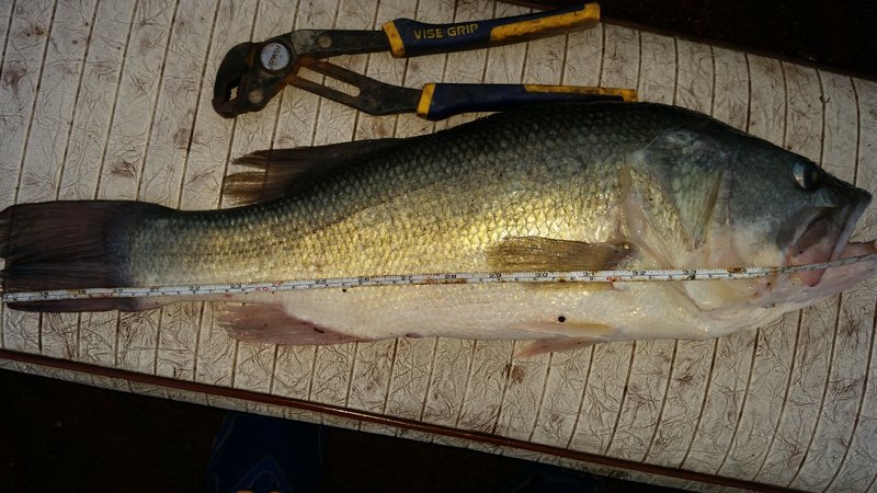 20160927_190529.jpg