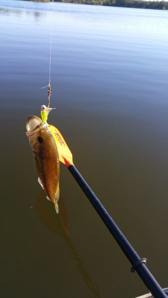 20160928_092052.jpg