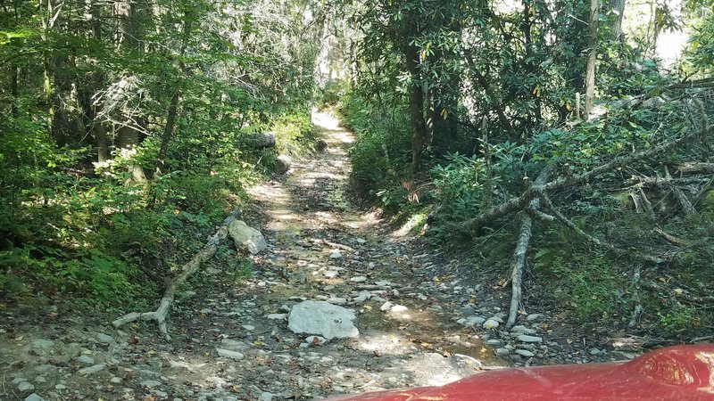 20160930_141951.jpg