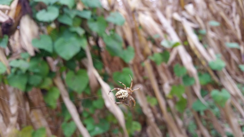 20161001_142058.jpg