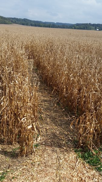 20161001_144740.jpg