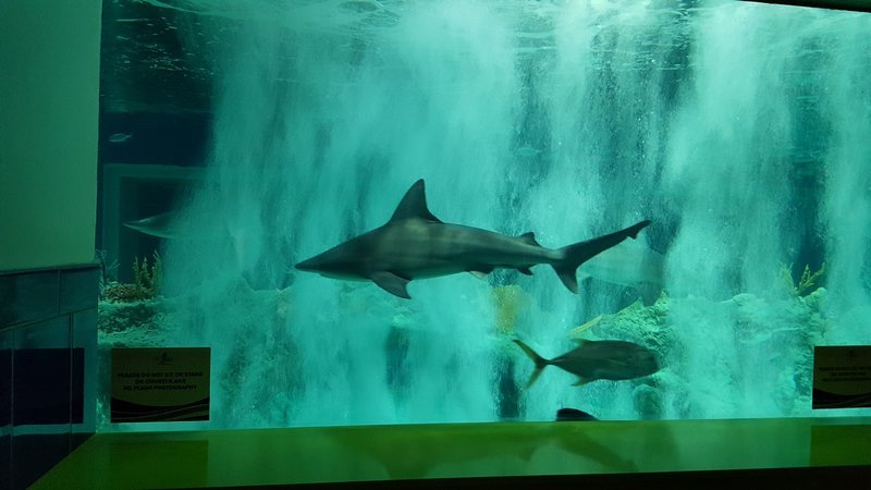 20161001_144757.jpg