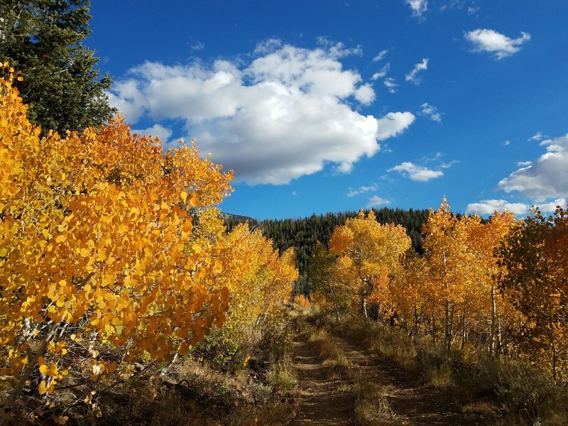 20161001_163927.jpg
