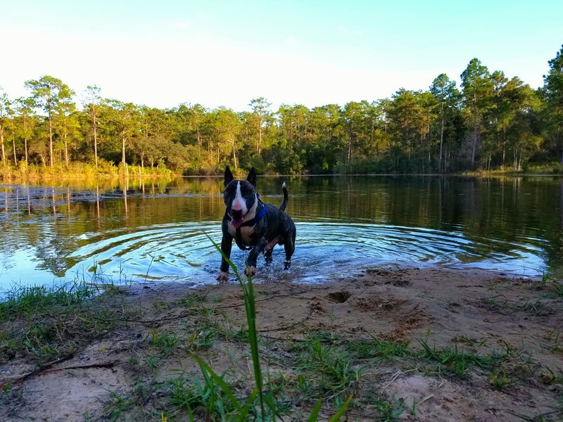 20161001_202939.jpg