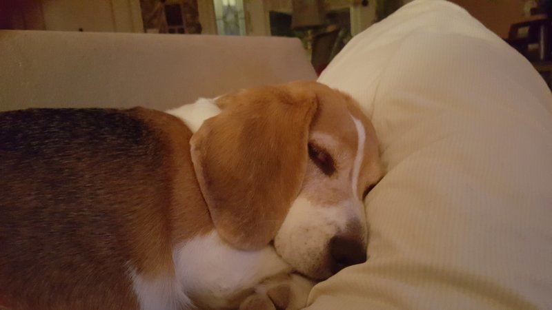 20161001_212956.jpg