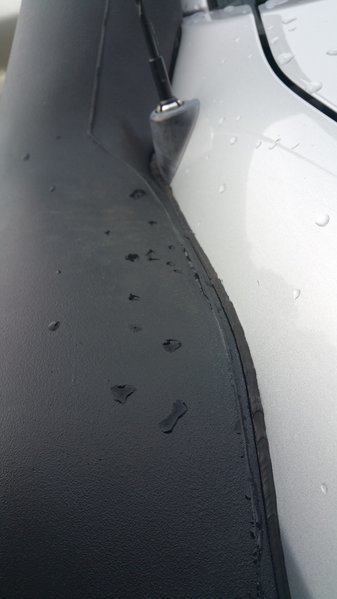 20161004_114504.jpg