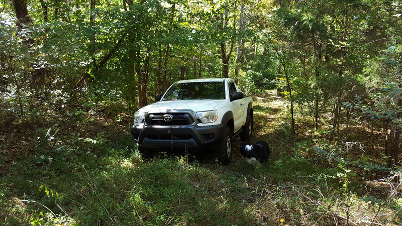 20161008_140328.jpg