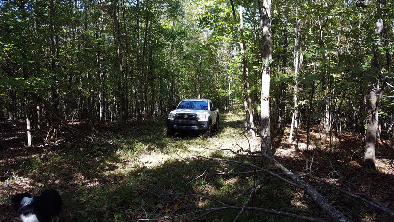 20161008_140608.jpg