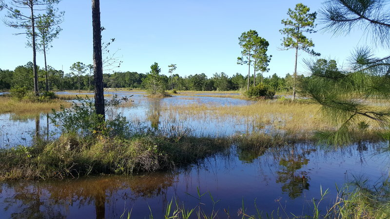 20161008_171829.jpg