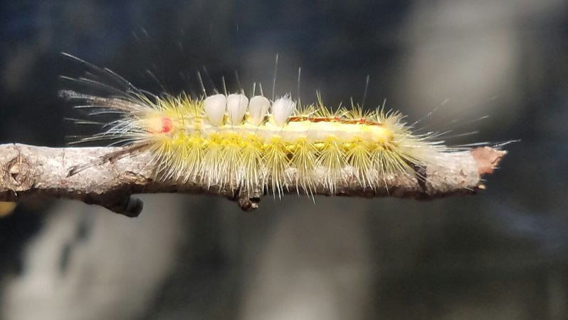 20161011_214212.jpg