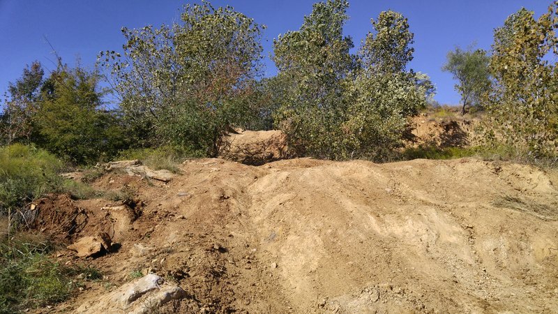 20161022_113259.jpg